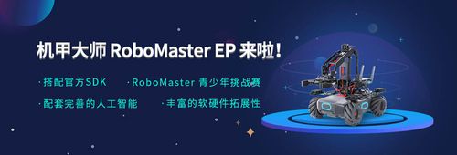 如何将带有卡数据的整个阵列传输到函数？ JavaScript